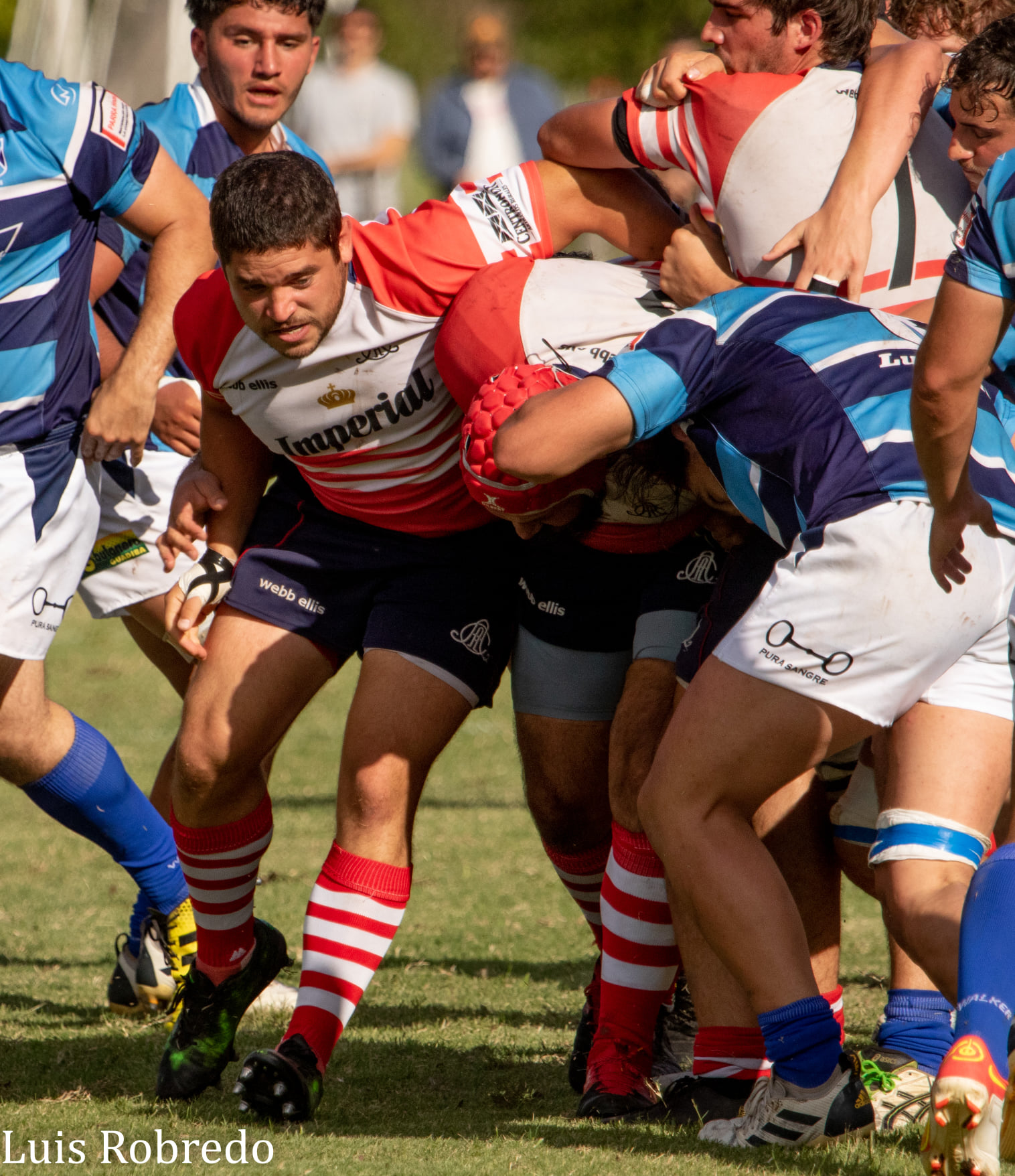  Areco Rugby Club - Luján Rugby Club - Rugby - Areco Rugby (14) vs Lujan Rugby (19) - URBA 1ra C (#ArecoVsLujan2022) Photo by: Luis Robredo | Siuxy Sports 2022-03-26