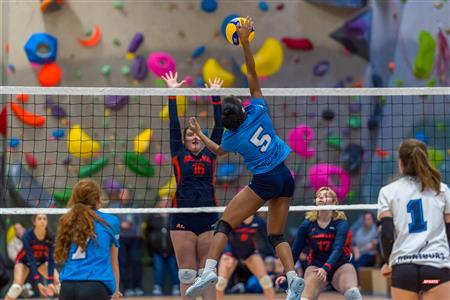 RSEQ - Volleyball C F D2 Sud-Ouest - Tournoi 4 - Sect F - André Laurendeau (2) vs (1) Gérald Godin