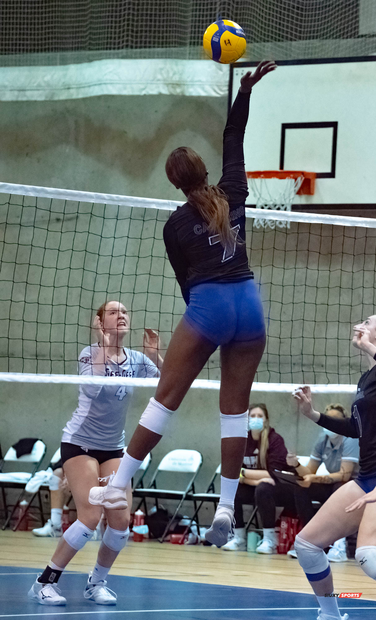  Université de Montréal - Université Ottawa - Volleyball -  (#VolleyUdeMvsUOttawaFW) Photo by:  | Siuxy Sports 2021-11-12