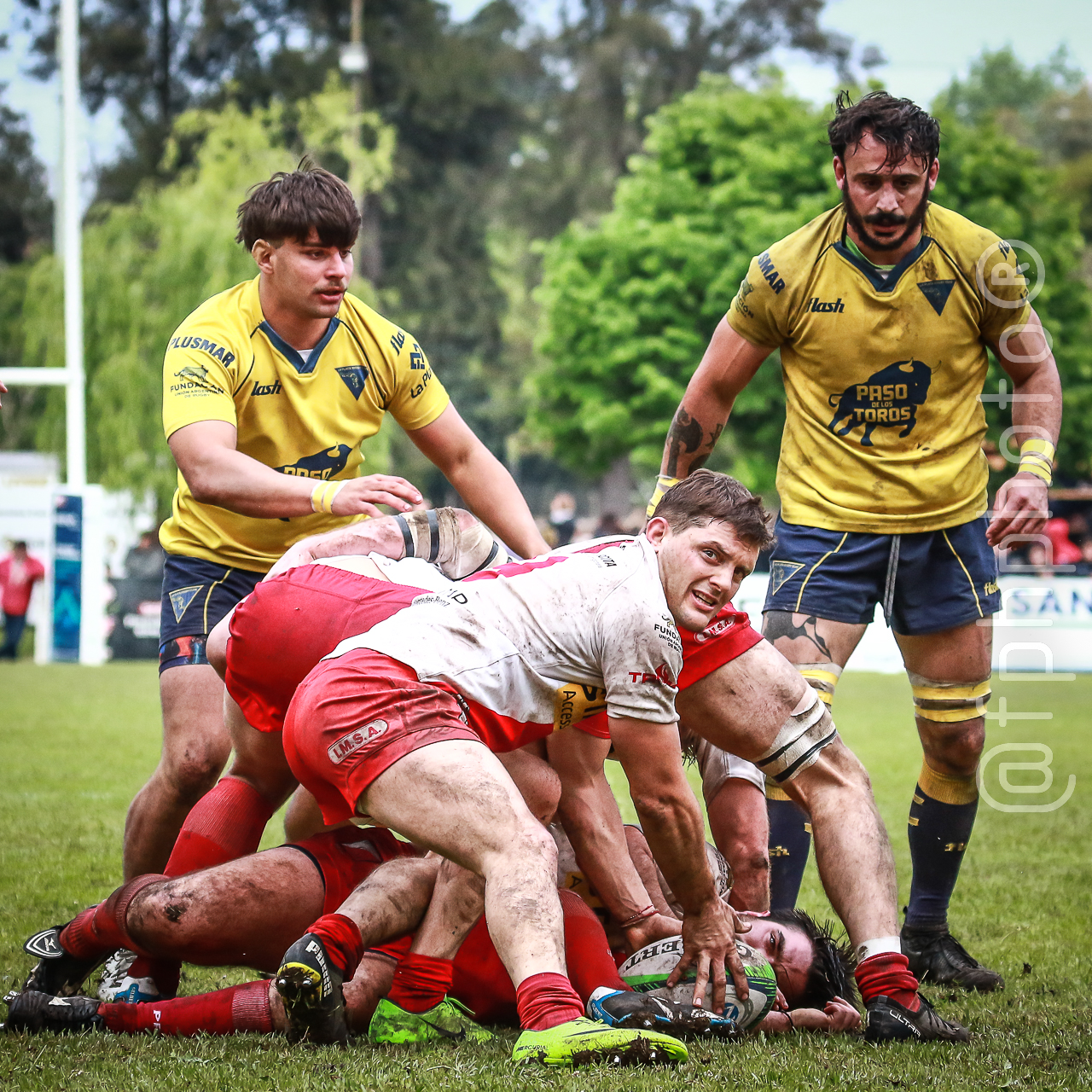  La Plata Rugby Club - Mariano Moreno - Rugby - URBA 1A - La Plata vs Mariano Moreno - Reel A2 (#URBALaPlataMM2022A2) Photo by: Alan Roy Bahamonde | Siuxy Sports 2022-10-15