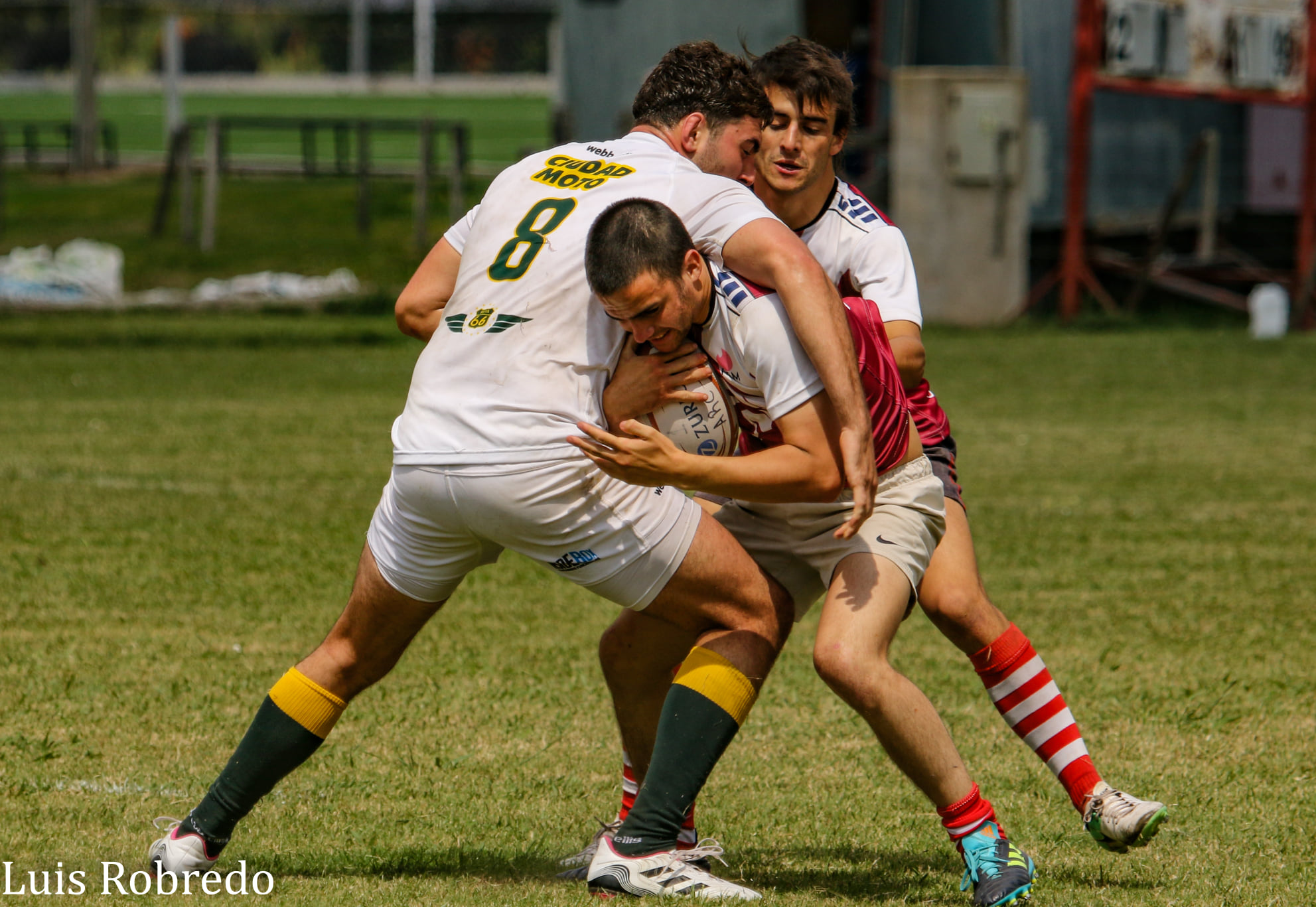  Club de Rugby Los Tilos -  - Rugby - Seven de la Tradición 2021 - San Antonio de Areco (#SevenTradicion2021-TilosVsX) Photo by: Luis Robredo | Siuxy Sports 2021-12-05