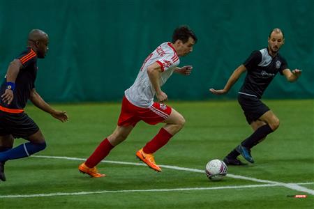 QSL - Dynamo Plateau vs White Eagles