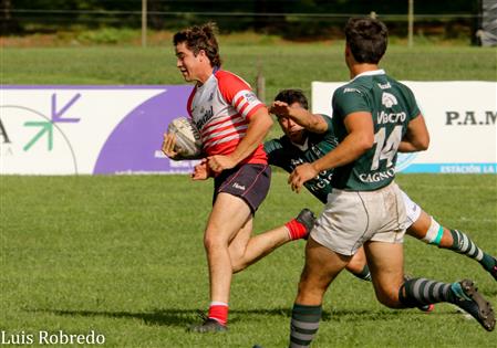 Los Cardos Rugby Club vs Areco Rugby Club