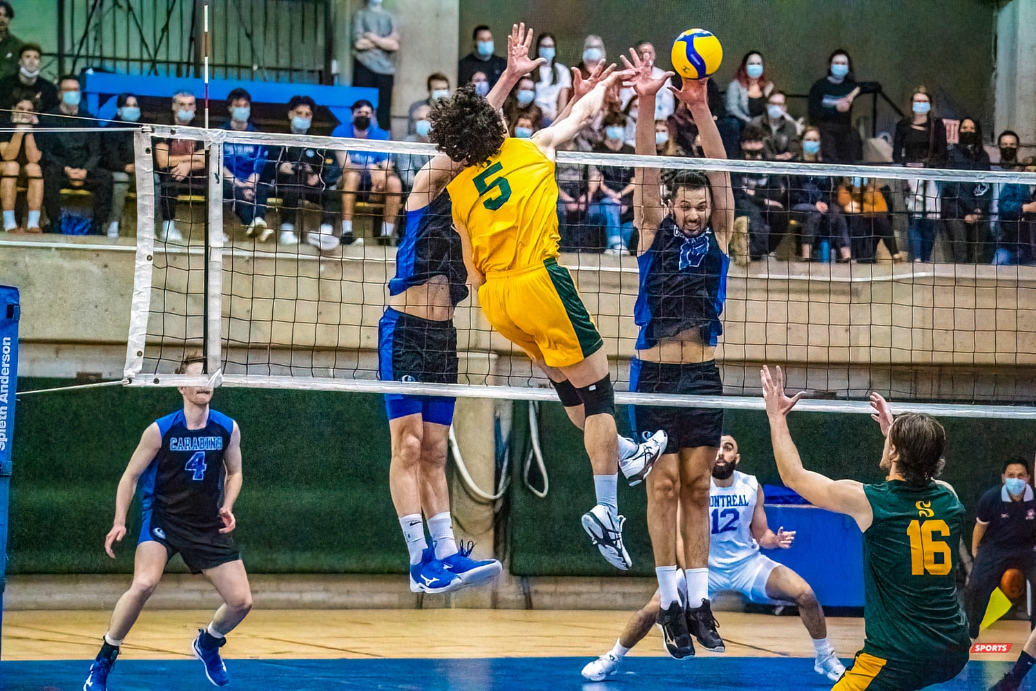 Zachary HOLLANDS - Nidhal RIDENE - Guillaume RIVEST -  Université de Montréal - Université de Sherbrooke - Volleyball - Université de Sherbrooke (3) vs Université de Montréal (1) - Final 1 2022 (#VertOrVsCarabinsFinal1M) Photo by:  | Siuxy Sports 2022-03-19