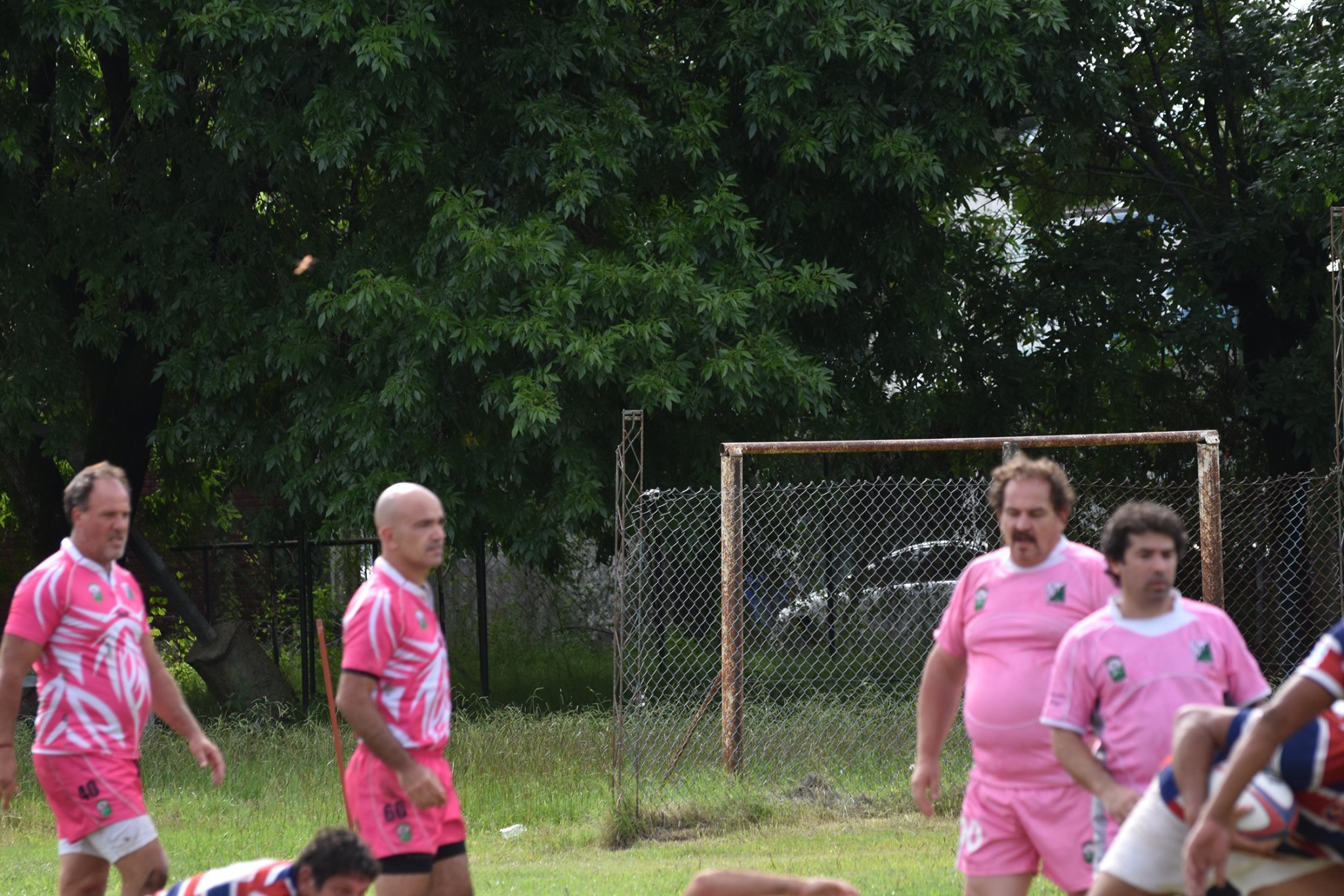  Los Pinos -  - RugbyV - Los Pinos Pivetes XV Gira a Gualeguay 2017 (#PivetesXV2017Gualeguay) Photo by: Diego van Domselaar | Siuxy Sports 2017-10-01