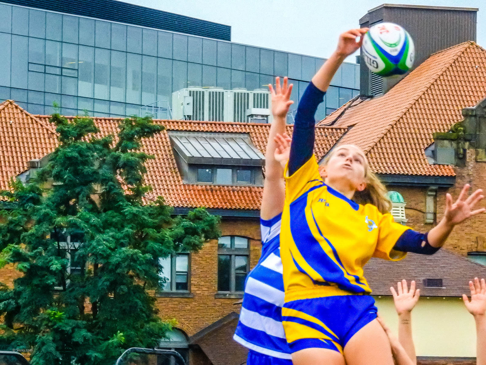  College John Abbott - College Dawson - Rugby -  (#AbbottvsDawsonW2021) Photo by:  | Siuxy Sports 2021-10-03