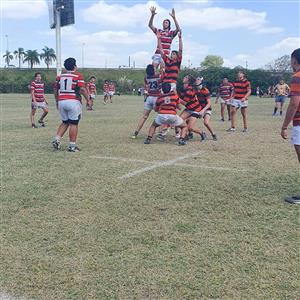 Line out en el #M17 ORC vs DRC