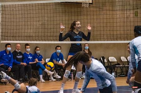 Université de Montréal vs Université du Québec à Montréal - Volleyball Fém